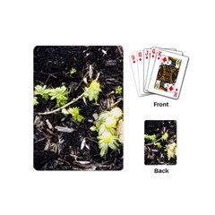 Signs Of Spring Playing Cards (mini) by Riverwoman