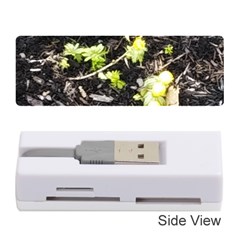 Signs Of Spring Memory Card Reader (stick) by Riverwoman