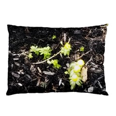 Signs Of Spring Pillow Case (two Sides) by Riverwoman