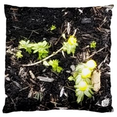 Signs Of Spring Standard Flano Cushion Case (two Sides) by Riverwoman