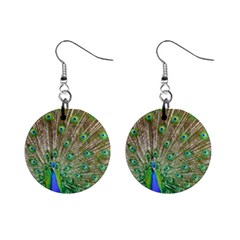 Peacock Color Bird Colorful Mini Button Earrings by Pakrebo