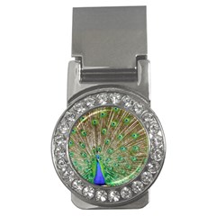 Peacock Color Bird Colorful Money Clips (cz)  by Pakrebo