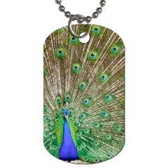 Peacock Color Bird Colorful Dog Tag (one Side) by Pakrebo