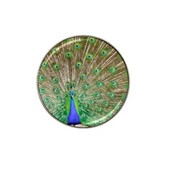 Peacock Color Bird Colorful Hat Clip Ball Marker (4 Pack) by Pakrebo