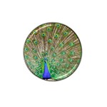 Peacock Color Bird Colorful Hat Clip Ball Marker (4 pack) Front