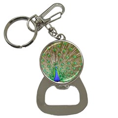 Peacock Color Bird Colorful Bottle Opener Key Chains by Pakrebo