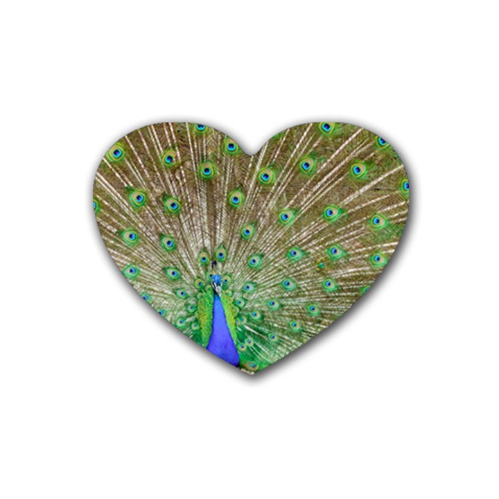 Peacock Color Bird Colorful Rubber Coaster (Heart) 