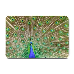 Peacock Color Bird Colorful Small Doormat  by Pakrebo