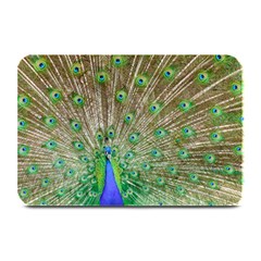 Peacock Color Bird Colorful Plate Mats by Pakrebo