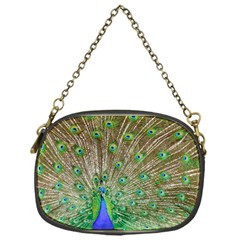 Peacock Color Bird Colorful Chain Purse (one Side) by Pakrebo