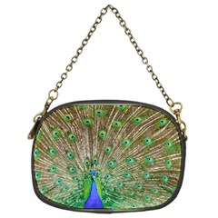 Peacock Color Bird Colorful Chain Purse (two Sides) by Pakrebo