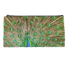 Peacock Color Bird Colorful Pencil Cases by Pakrebo