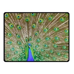 Peacock Color Bird Colorful Fleece Blanket (small) by Pakrebo