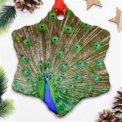 Peacock Color Bird Colorful Snowflake Ornament (two Sides) by Pakrebo