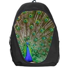 Peacock Color Bird Colorful Backpack Bag by Pakrebo