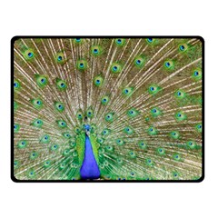 Peacock Color Bird Colorful Double Sided Fleece Blanket (small)  by Pakrebo