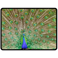 Peacock Color Bird Colorful Double Sided Fleece Blanket (large)  by Pakrebo