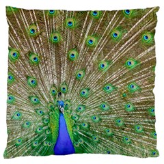 Peacock Color Bird Colorful Large Flano Cushion Case (one Side) by Pakrebo