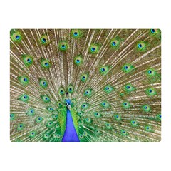 Peacock Color Bird Colorful Double Sided Flano Blanket (mini)  by Pakrebo