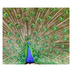 Peacock Color Bird Colorful Double Sided Flano Blanket (small)  by Pakrebo