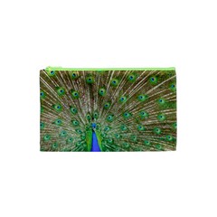 Peacock Color Bird Colorful Cosmetic Bag (xs) by Pakrebo