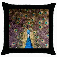 Peacock Feather Peacock Feather Throw Pillow Case (black) by Pakrebo