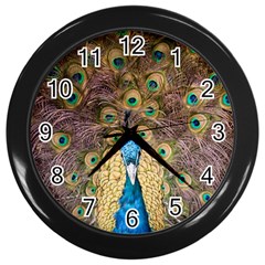 Peacock Feather Peacock Feather Wall Clock (black) by Pakrebo