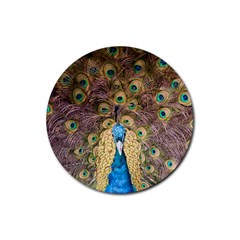 Peacock Feather Peacock Feather Rubber Coaster (round)  by Pakrebo