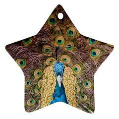 Peacock Feather Peacock Feather Star Ornament (two Sides) by Pakrebo