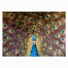 Peacock Feather Peacock Feather Large Glasses Cloth by Pakrebo