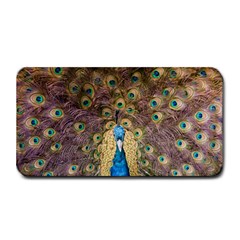 Peacock Feather Peacock Feather Medium Bar Mats by Pakrebo