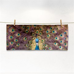 Peacock Feather Peacock Feather Hand Towel by Pakrebo