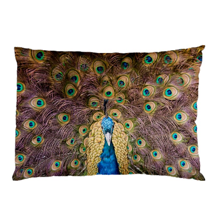 Peacock Feather Peacock Feather Pillow Case