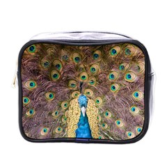 Peacock Feather Peacock Feather Mini Toiletries Bag (one Side) by Pakrebo