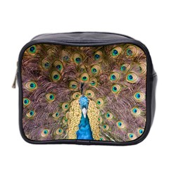 Peacock Feather Peacock Feather Mini Toiletries Bag (two Sides) by Pakrebo