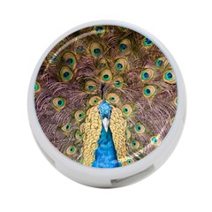 Peacock Feather Peacock Feather 4-port Usb Hub (one Side) by Pakrebo