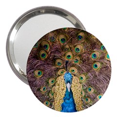 Peacock Feather Peacock Feather 3  Handbag Mirrors by Pakrebo