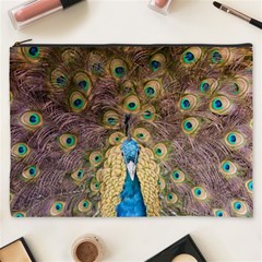 Peacock Feather Peacock Feather Cosmetic Bag (xxxl) by Pakrebo