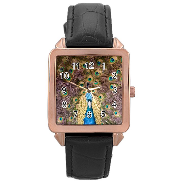 Peacock Feather Peacock Feather Rose Gold Leather Watch 