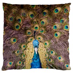 Peacock Feather Peacock Feather Standard Flano Cushion Case (one Side) by Pakrebo