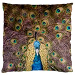 Peacock Feather Peacock Feather Standard Flano Cushion Case (One Side) Front