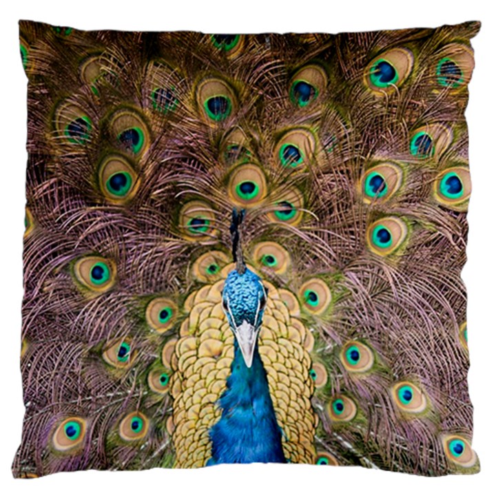 Peacock Feather Peacock Feather Standard Flano Cushion Case (One Side)