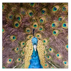 Peacock Feather Peacock Feather Large Satin Scarf (square) by Pakrebo