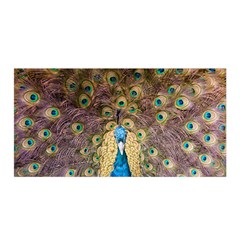 Peacock Feather Peacock Feather Satin Wrap by Pakrebo