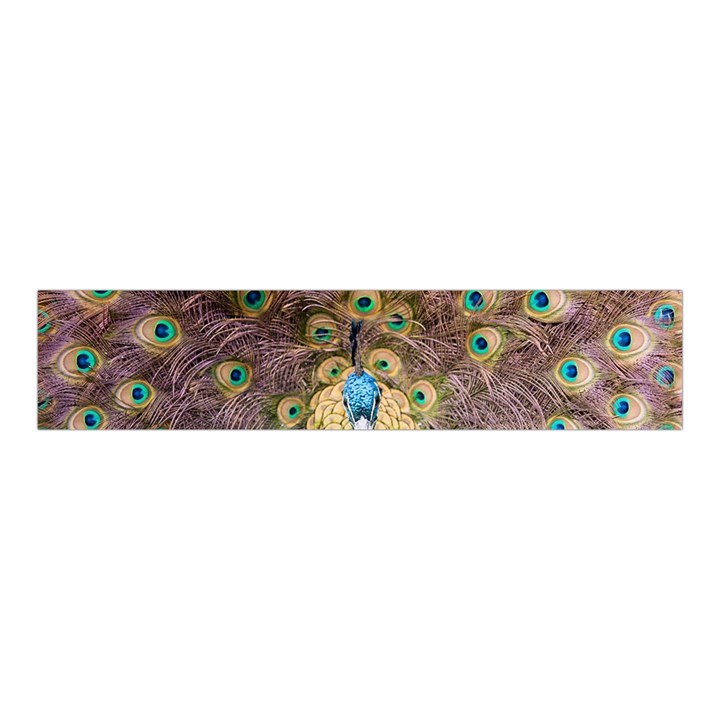 Peacock Feather Peacock Feather Velvet Scrunchie