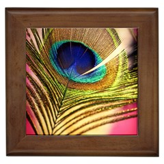 Peacock Feather Colorful Peacock Framed Tiles