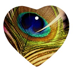 Peacock Feather Colorful Peacock Ornament (heart) by Pakrebo