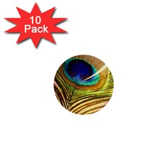 Peacock Feather Colorful Peacock 1  Mini Buttons (10 Pack)  by Pakrebo