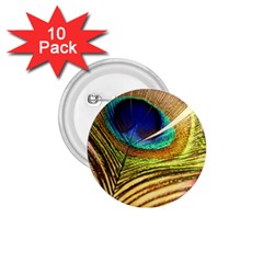 Peacock Feather Colorful Peacock 1.75  Buttons (10 pack)