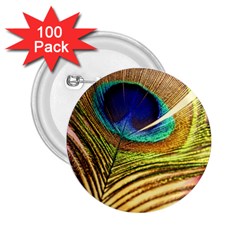 Peacock Feather Colorful Peacock 2.25  Buttons (100 pack) 